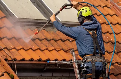 Démoussage et hydrofuge de toiture à Fongueusemare